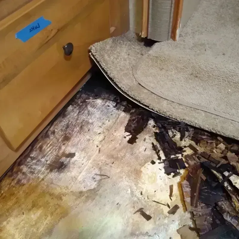 Wood Floor Water Damage in Logansport, LA